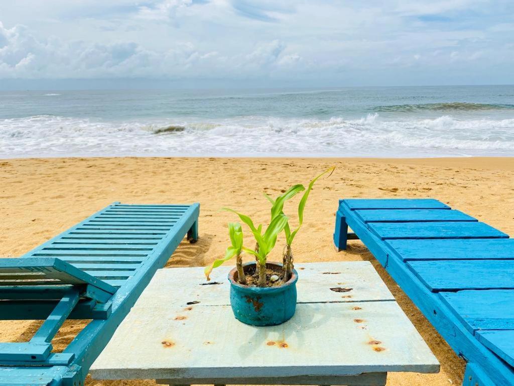 Ramya Ru Beach Home Galle Dış mekan fotoğraf